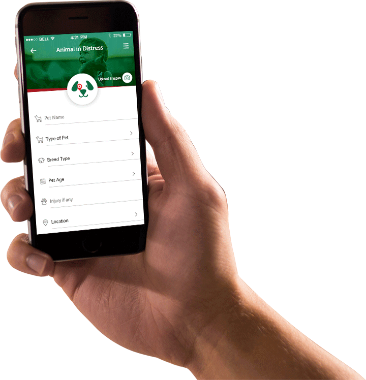 Animal In Distress App
